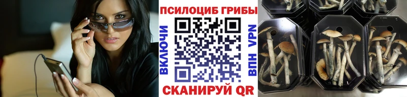 Псилоцибиновые грибы Psilocybine cubensis  blacksprut как зайти  Феодосия 